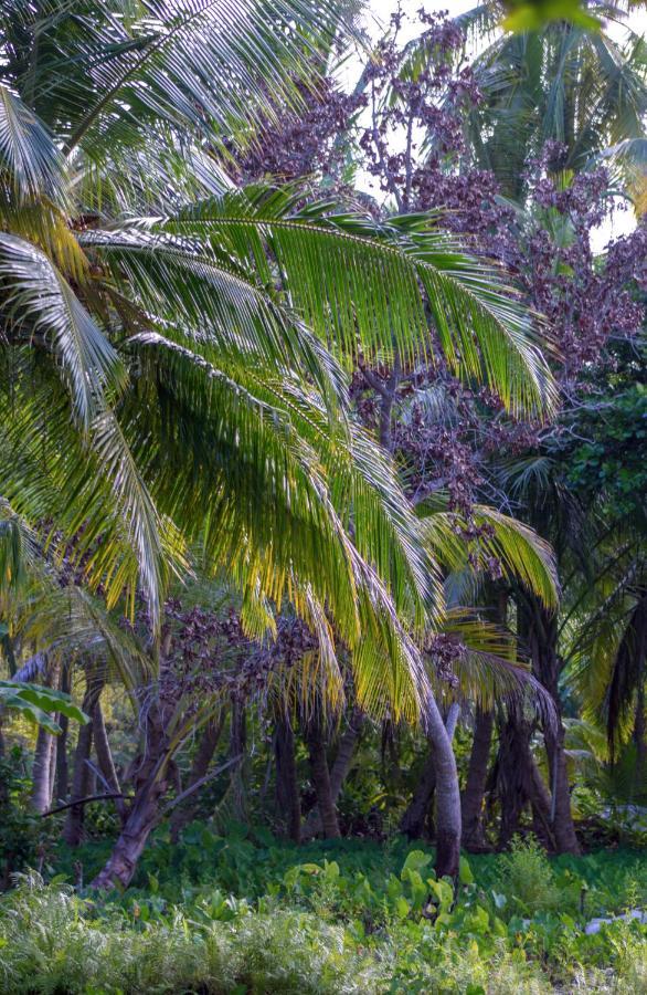 Silver County Hotel, Fuvahmulah - Maldives 外观 照片